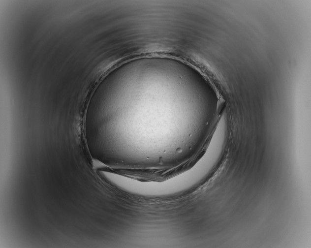 X0000096411169200802211219