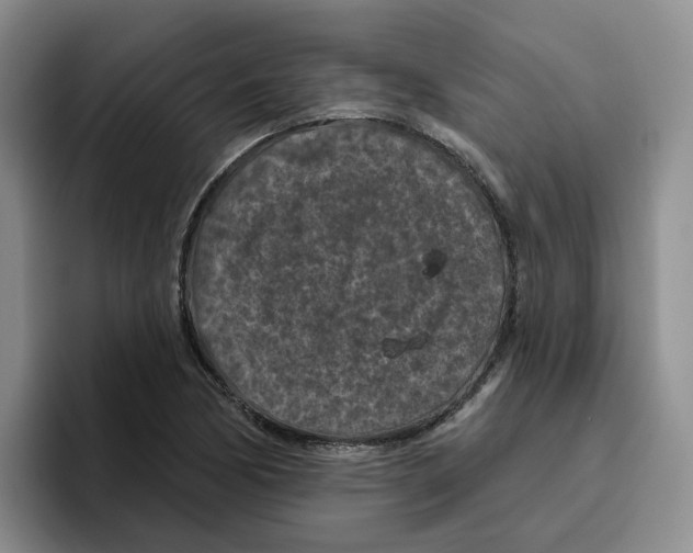 X0000096411170200802211219