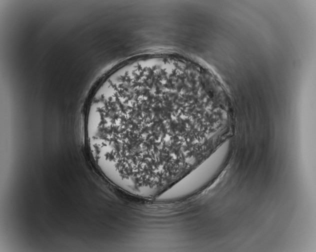 X0000096411171200802211219