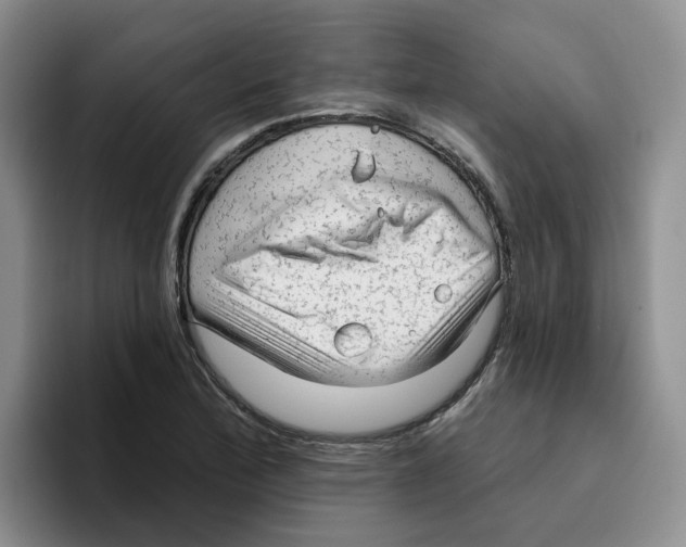 X0000096411172200802211219