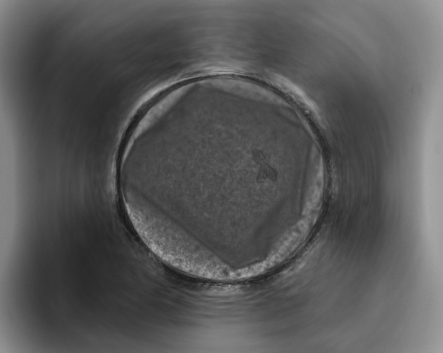 X0000096411174200802211219