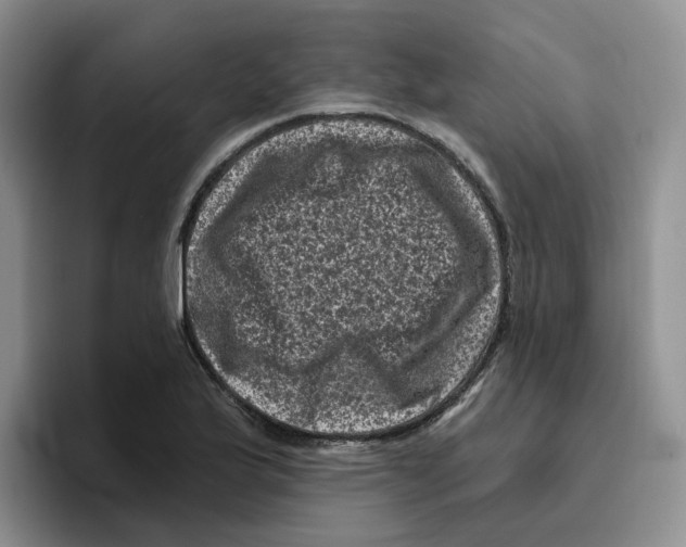 X0000096411175200802211219