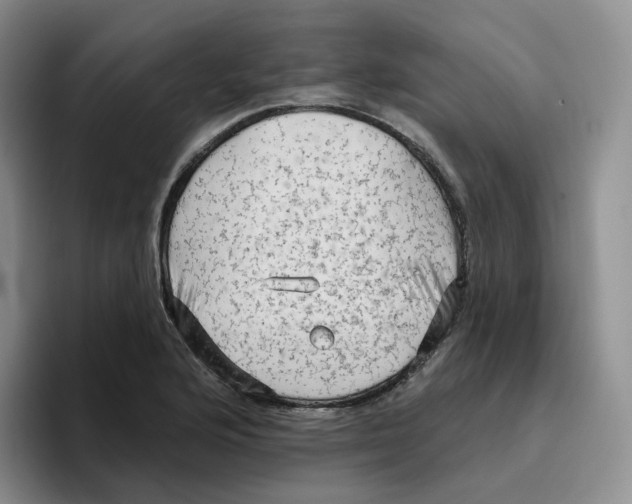 X0000096411176200802211219