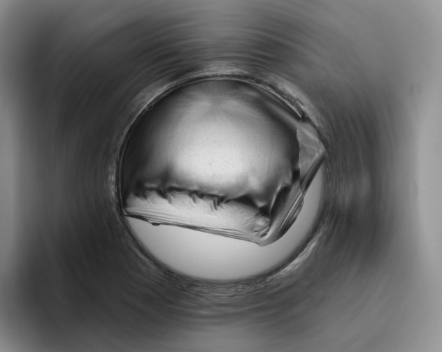 X0000096411177200802211219