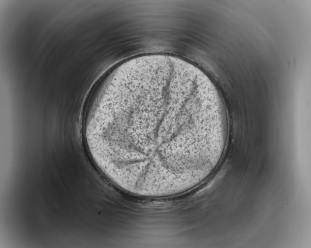 X0000096411178200802211219
