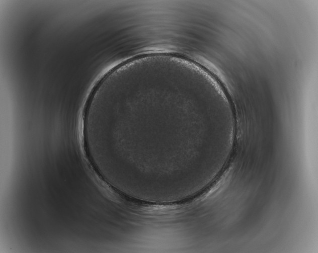 X0000096411179200802211219