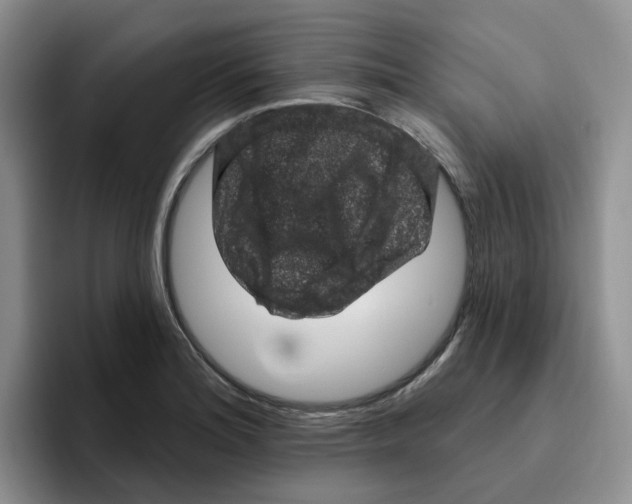 X0000096411180200802211219