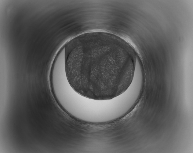 X0000096411181200802211219