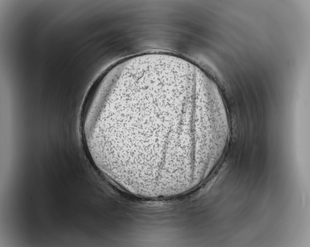 X0000096411182200802211219