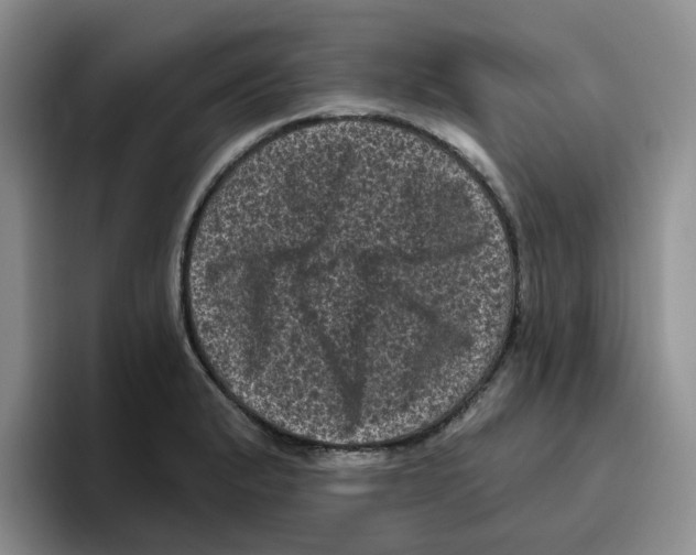 X0000096411183200802211219