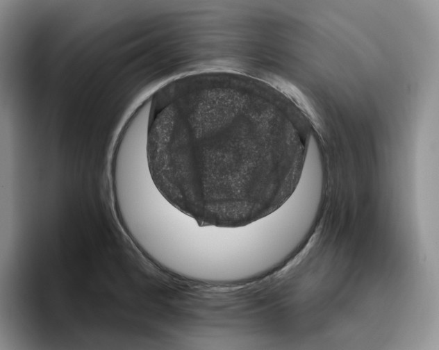 X0000096411184200802211219