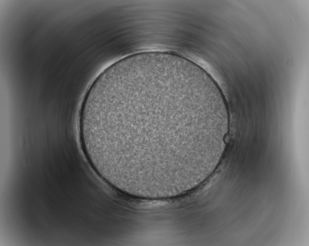 X0000096411187200802211218