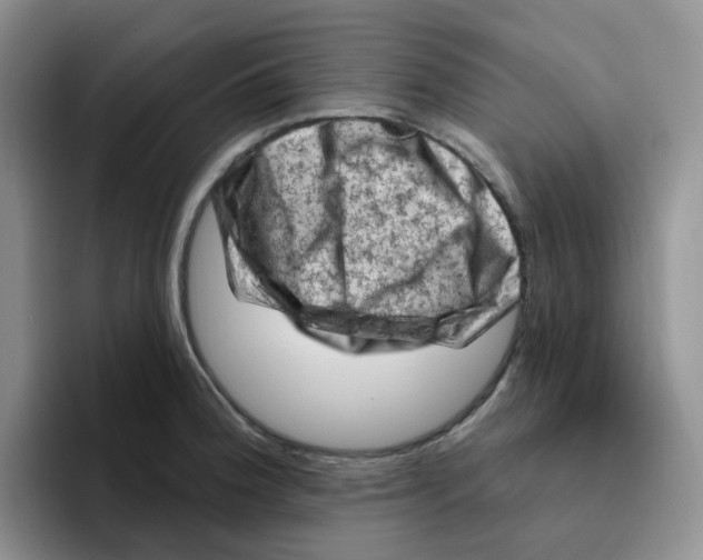 X0000096411188200802211218