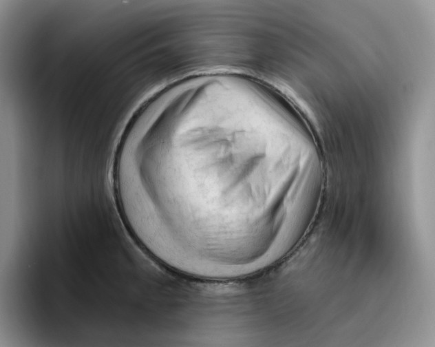 X0000096411189200802211218