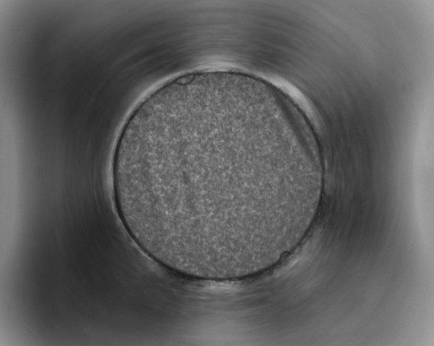 X0000096411191200802211218