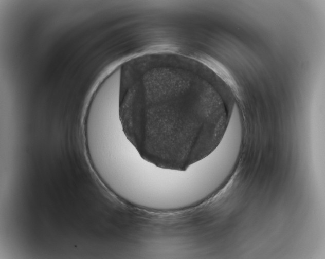 X0000096411192200802211218