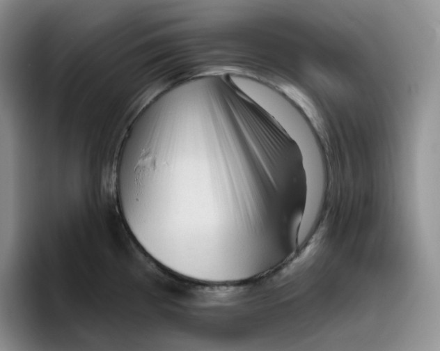 X0000096411193200802211218