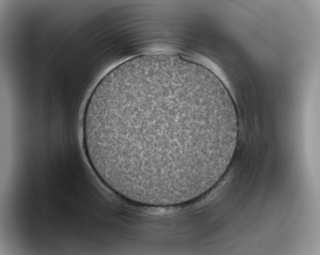 X0000096411195200802211218