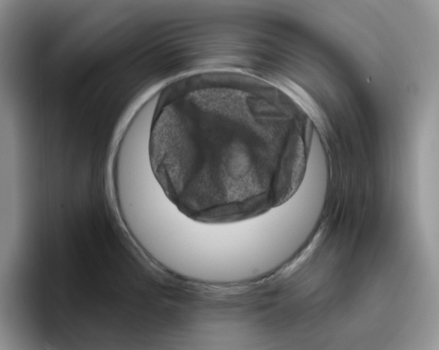 X0000096411196200802211218