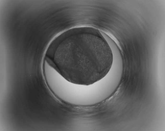 X0000096411197200802211218