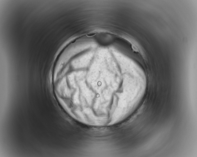 X0000096411198200802211218