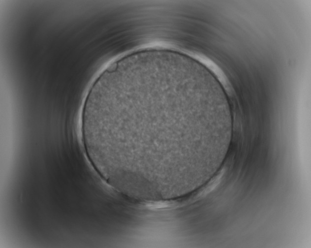 X0000096411199200802211218
