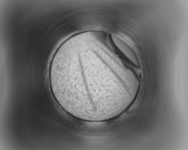 X0000096411200200802211218
