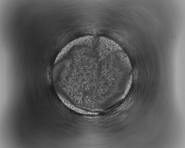 X0000096411202200802211218