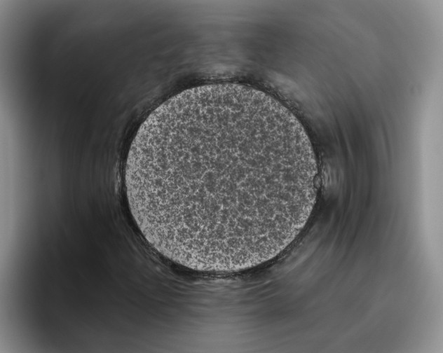 X0000096411204200802211218