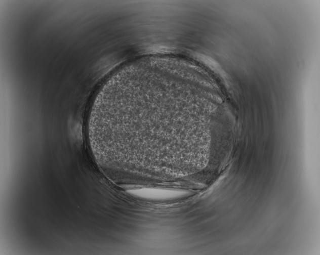 X0000096411209200802211218