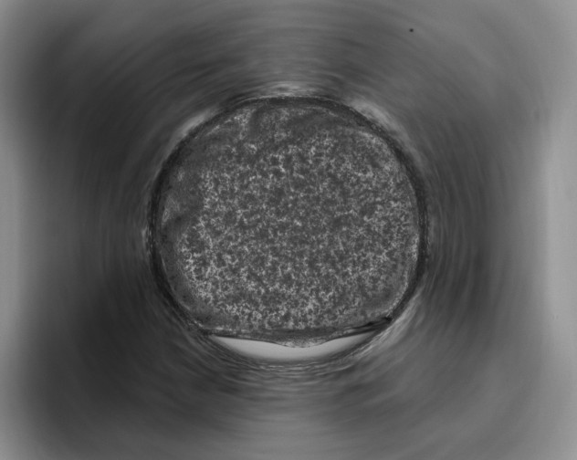 X0000096411210200802211218
