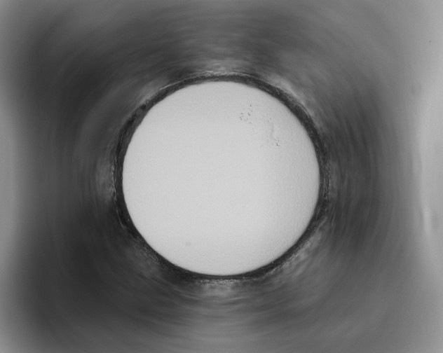 X0000096411211200802211218