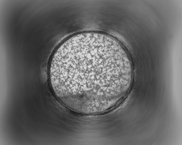X0000096411212200802211218