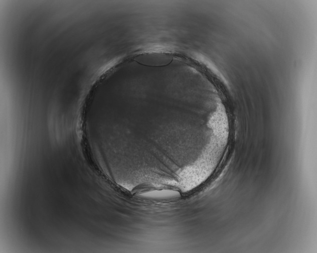 X0000096411213200802211218