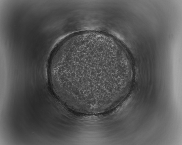 X0000096411214200802211218