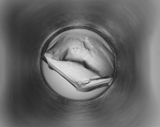 X0000096411216200802211218