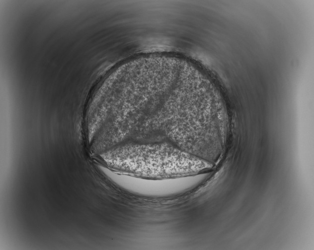X0000096411217200802211218