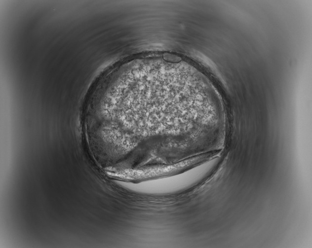 X0000096411218200802211218