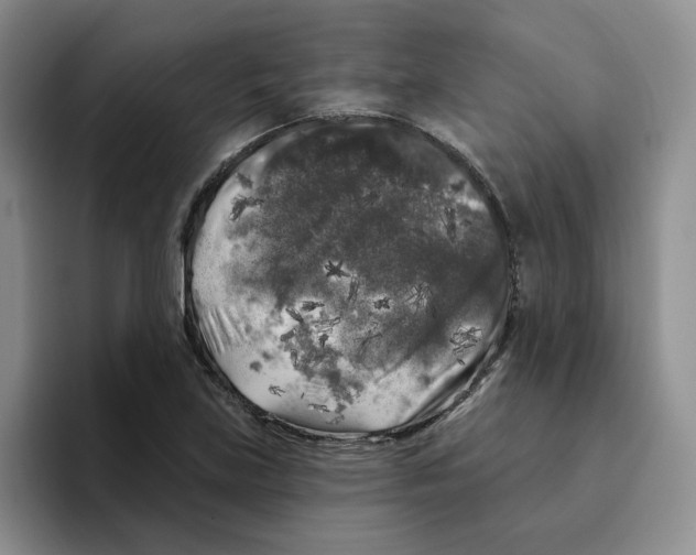 X0000096411219200802211218