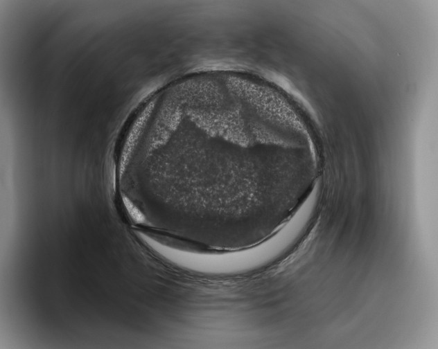 X0000096411221200802211218
