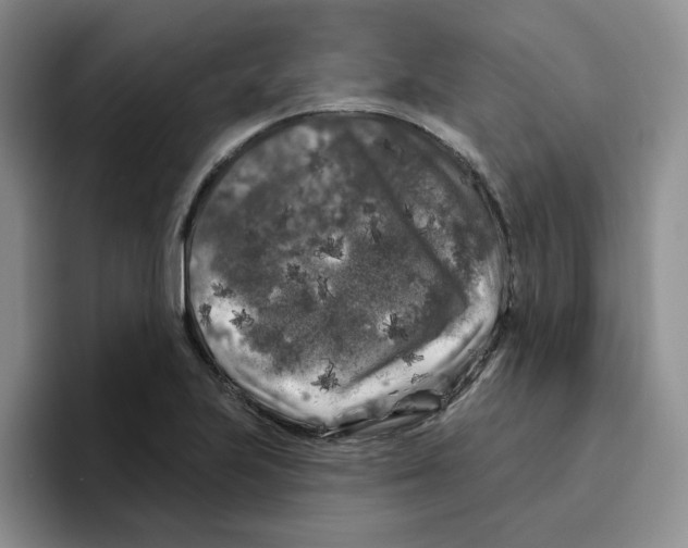 X0000096411223200802211218
