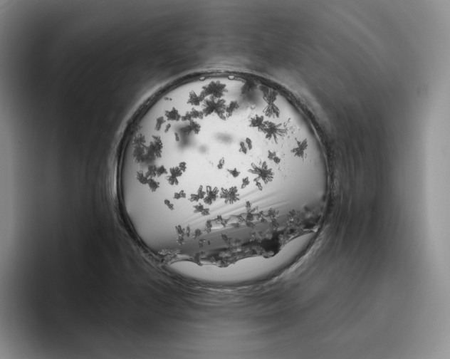 X0000096411224200802211218