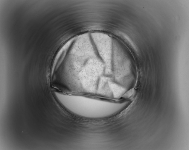 X0000096411225200802211218