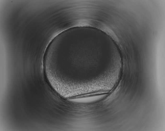 X0000096411226200802211218