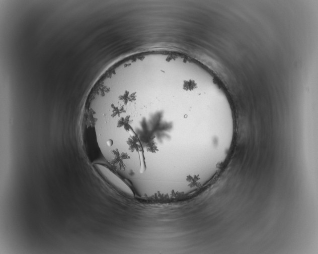 X0000096411228200802211218