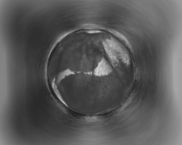 X0000096411231200802211218