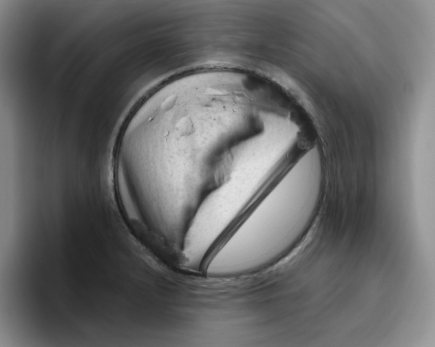 X0000096411232200802211218