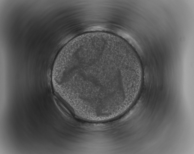X0000096411233200802211218