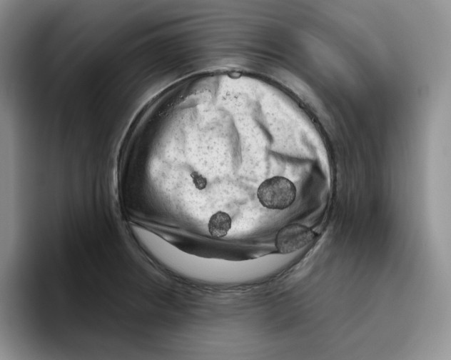 X0000096411234200802211218