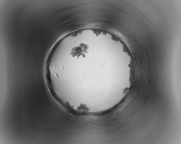 X0000096411235200802211218